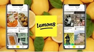 Lemon8